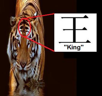 Tiger Symbolism